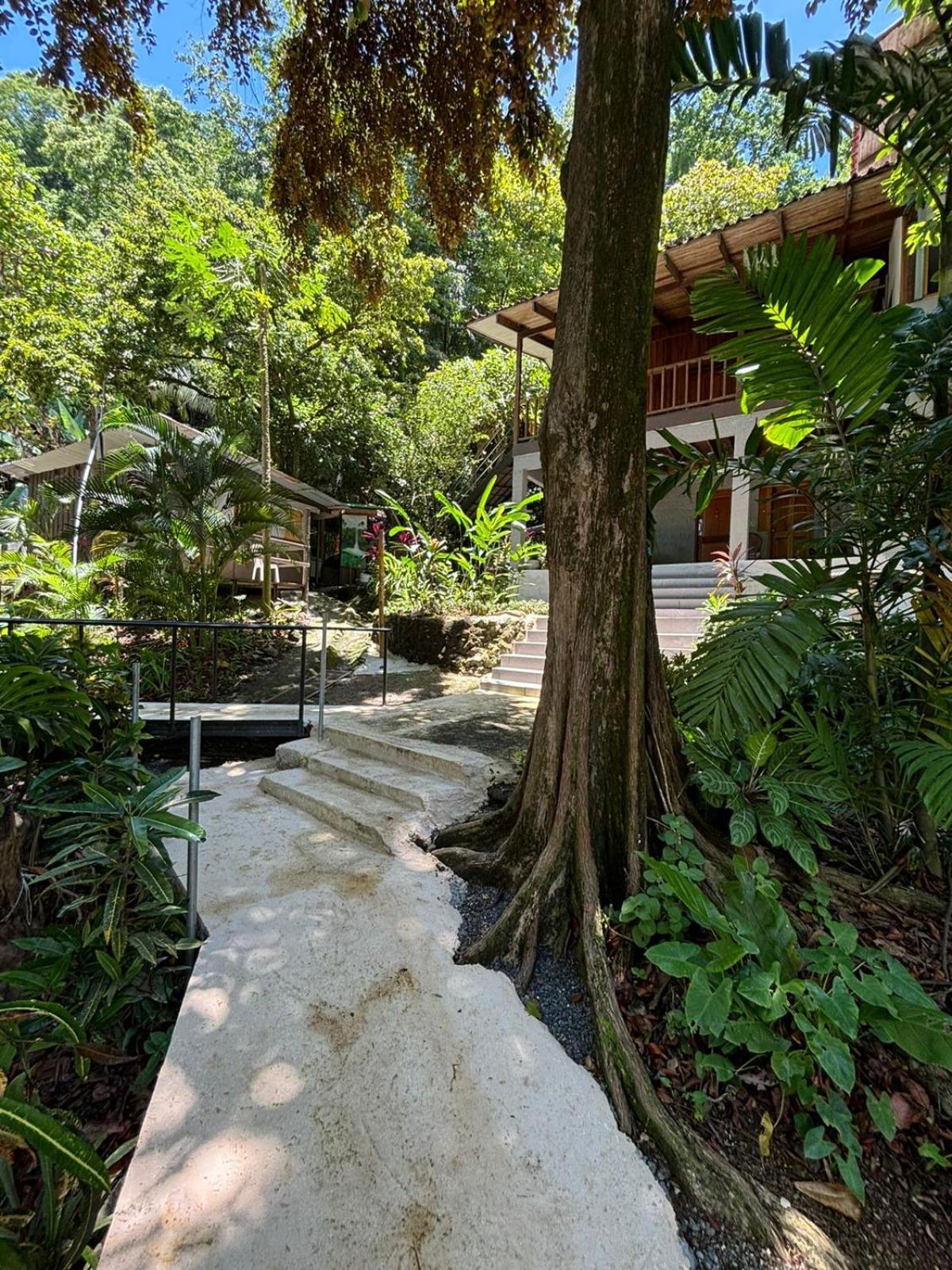 Casa Susen Apartment Montezuma Exterior photo